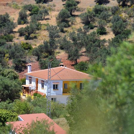 B&B Casa El Corasueno Almogia ภายนอก รูปภาพ