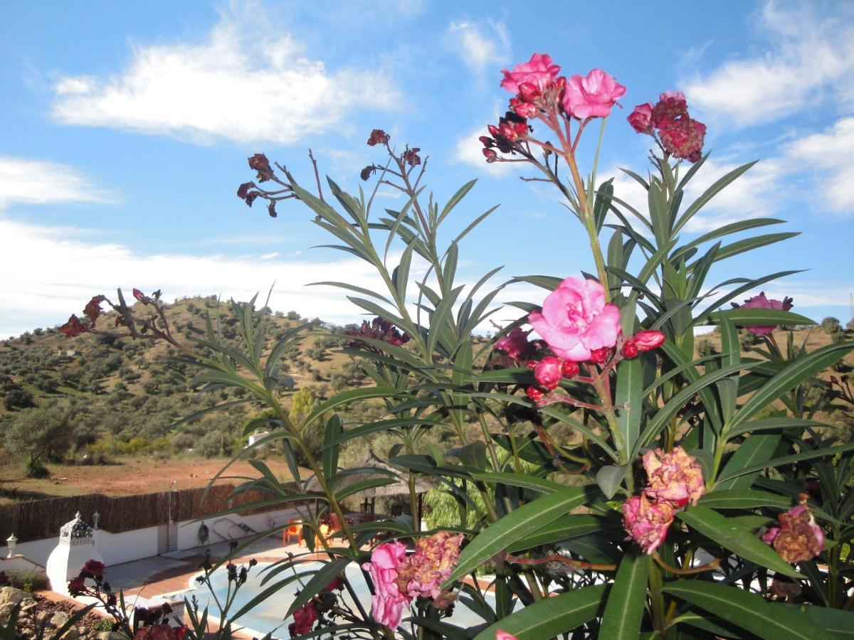 B&B Casa El Corasueno Almogia ภายนอก รูปภาพ